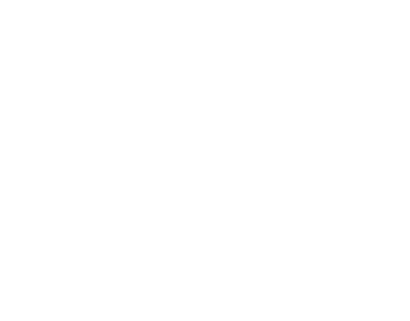 Savana project frame